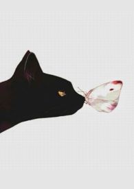 人间好时节 (1v1H)