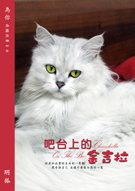 吧台上的灯是什么